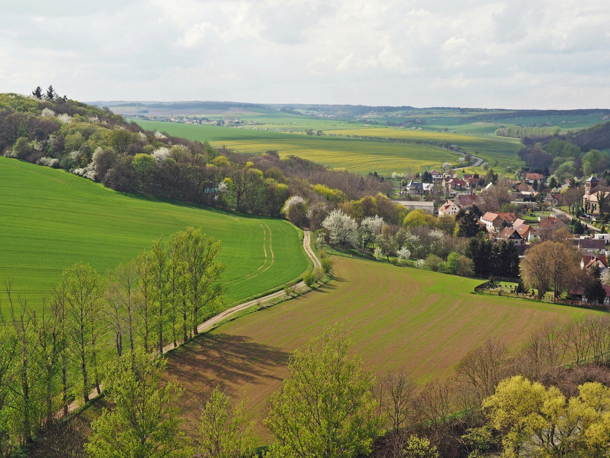 spring-in-the-country-1344531_1280