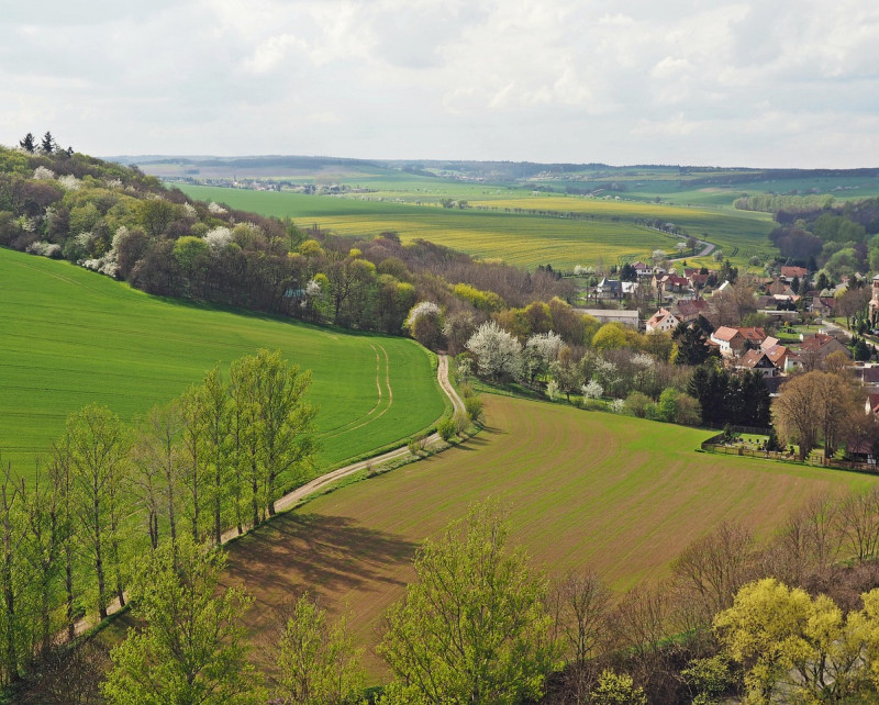 spring-in-the-country-1344531_1280